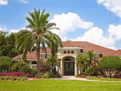become the local real estate expert